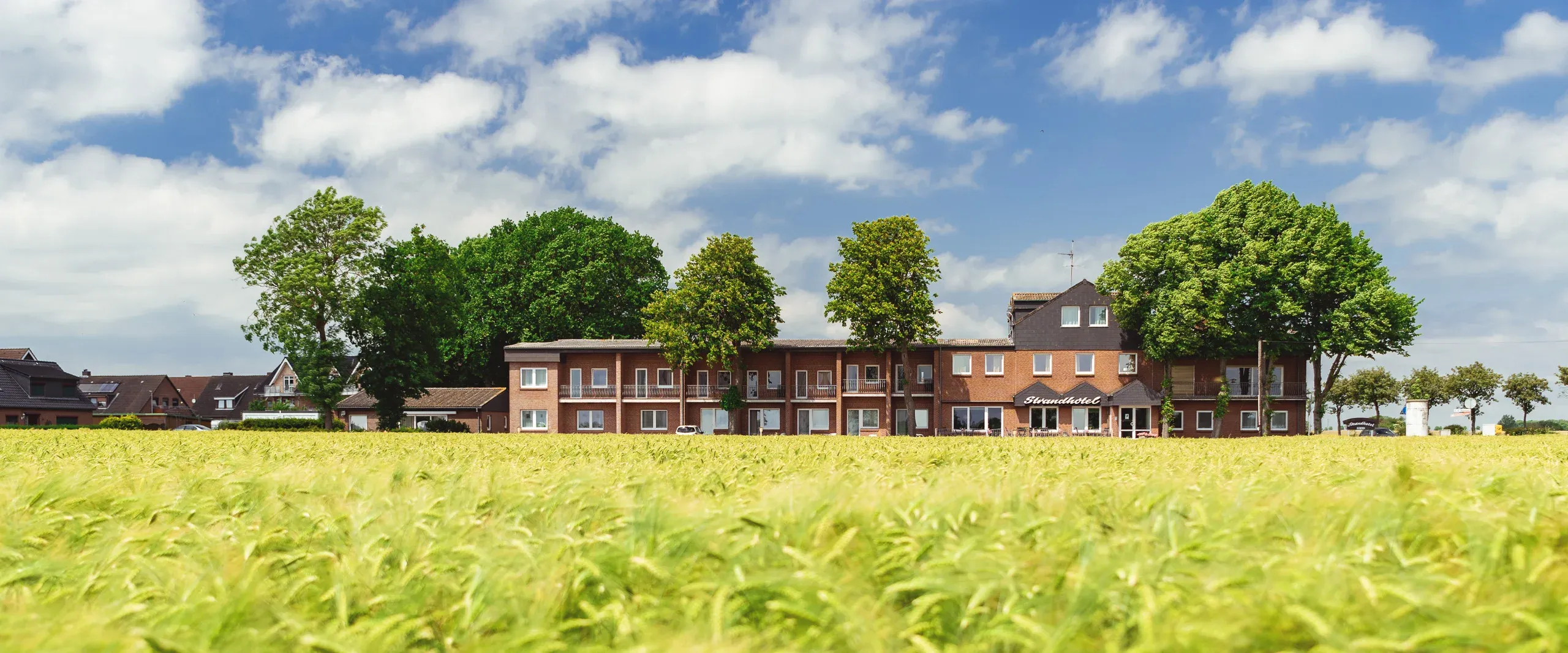 Strandhotel-Header Aussenansicht des Hotels bei sonnigem Wetter mit einem Kornfeld im Vordergrund